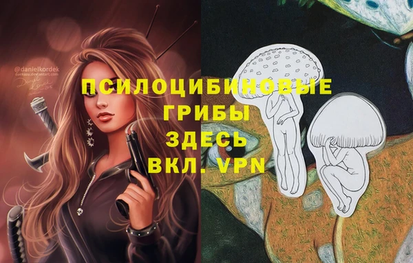 тгк Ладушкин