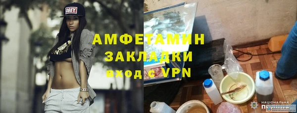 шишки Лабытнанги
