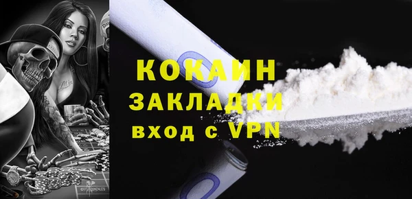 шишки Лабытнанги