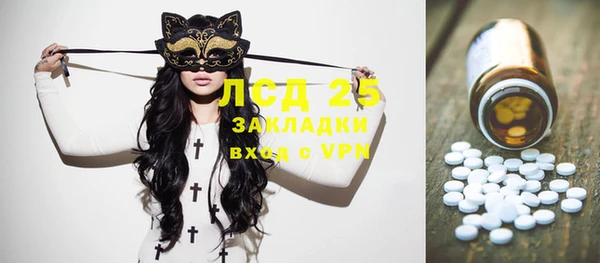 шишки Лабытнанги