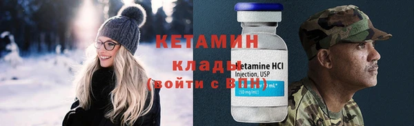 шишки Лабытнанги