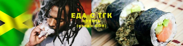 шишки Лабытнанги