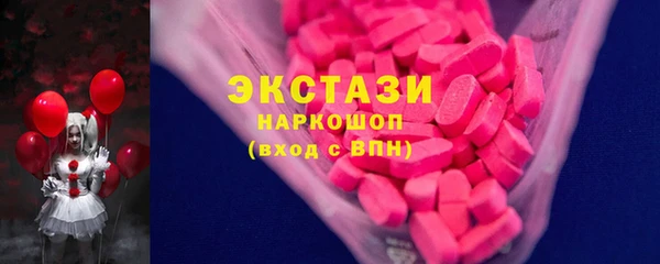 шишки Лабытнанги