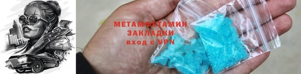 шишки Лабытнанги