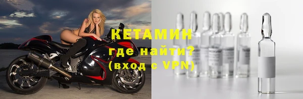 шишки Лабытнанги