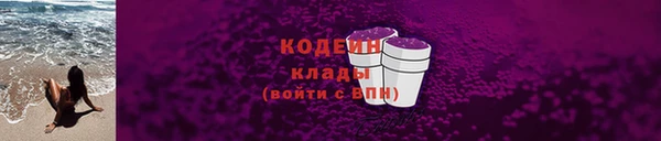 шишки Лабытнанги