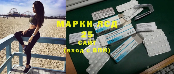 шишки Лабытнанги