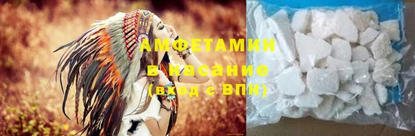 шишки Лабытнанги