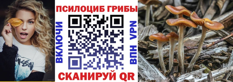Галлюциногенные грибы прущие грибы  Купить  Мезень 